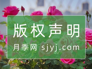 版权声明