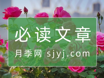 必读文章
