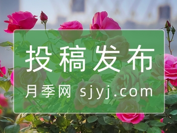 投稿发布