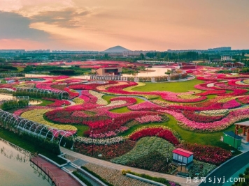 全国十大月季旅游精品景区