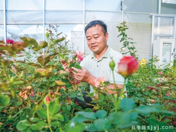 月季名人：李淑斌