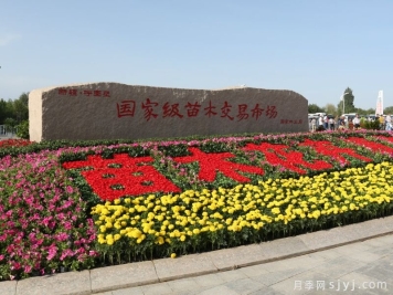 呼图壁县国家级苗木交易市场