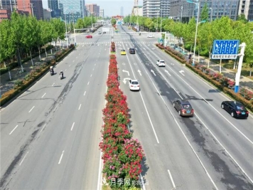 合肥高新区月季大道华丽亮相，你打卡了吗？