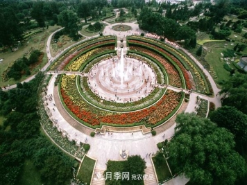 中国十大月季园盘点！赏月季不能错过