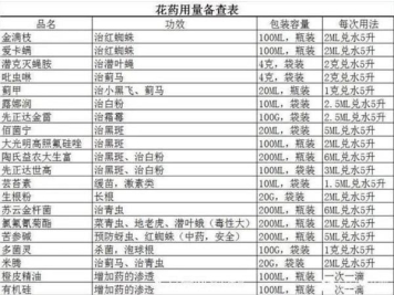 立秋以后，养月季记住3个“口诀”再迎绽放期