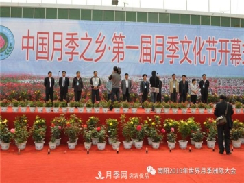 南阳月季文化节记录