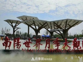 南阳世界月季大观园：只爱园中月季美，不羡他乡百花艳