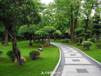 破解苗木行业需求的发展变化，弄懂才能赚钱​！