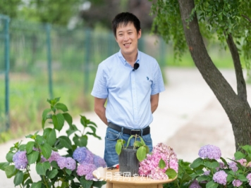 听天狼细说月季的现在与未来