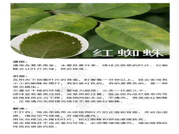养护大全：月季养护病虫防治资料卡