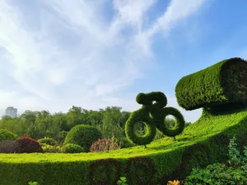 这种高颜值、高利润的苗木，竟然缺点不少