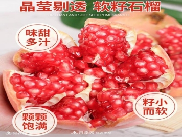淅川突尼斯软籽石榴基地批发价格，好水果