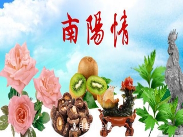 南阳名优特农产品，中国之乡誉响中国