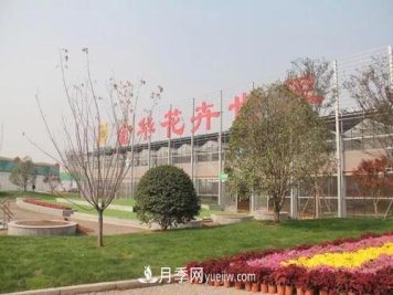 金华花木生 我与一座城