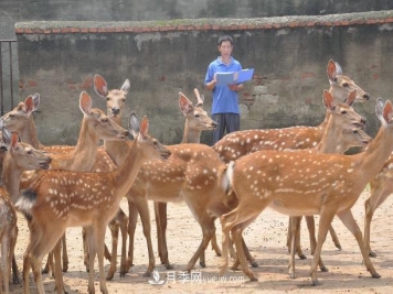 第十一届(2020)中国鹿业发展大会即将开幕