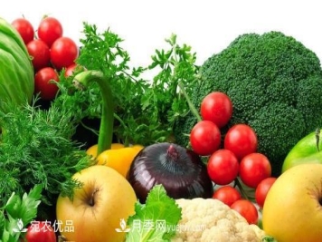 厉害了，南阳市有机产品证书量居全国地级市第一