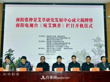 南阳张仲景艾草研究发展中心