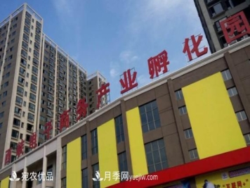 南阳西峡县猕猴桃林果生态产业助推乡村振兴