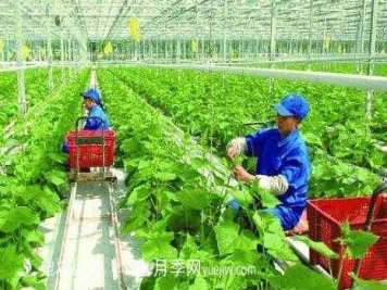 南阳有机农业全国第一是怎样炼成的？南水北调水源地生态农业见闻