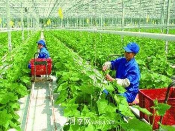 有机产品395个，南阳有机农业全国第一是怎样炼成的？