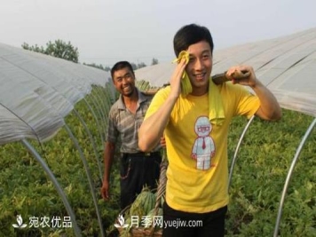 农产品电商资源整合的4个秘诀，实现销售额翻倍