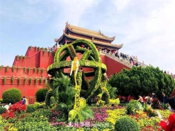 开封第38届菊花文化节盛大开幕美图来袭