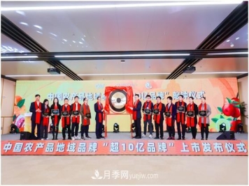 阿里巴巴“农交所”敲钟 20个农产品地域品牌价值超5300亿