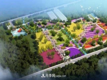 山东滕州市北辛街道100亩月季花海，真漂亮！