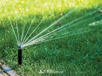 如何延长绿化草坪绿期，提高园林观赏价值