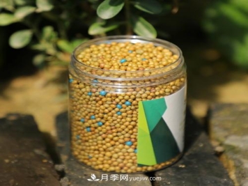 适合月季用的复合肥