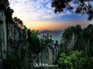 一县一品公益助农，河南南召特色农产品辛夷