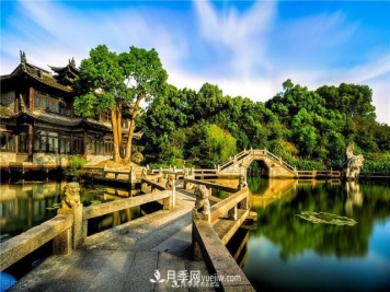 园林绿化树苗木的培育技术，效益可观！