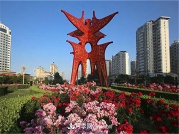 商丘的“市花”和“市树”是什么，你能想到了