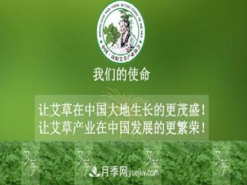 艾草变身黄金叶 南阳10多万农民因艾收益致富