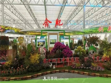 “苗会”美丽中国 建设美好安徽——2020合肥苗木花卉交易大会开幕