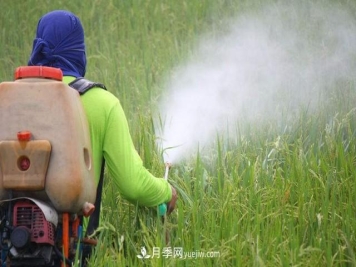 杀虫剂使用过程中不得不知的误区
