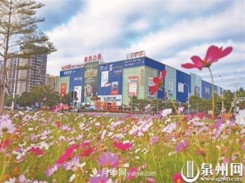 泉州洛江改造提升绿化景观：城区四季有景 市民开门见绿