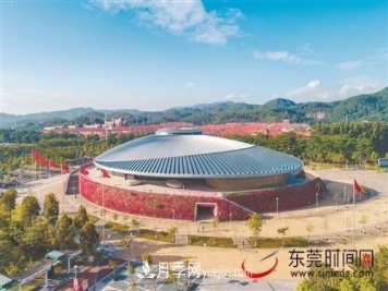 初冬时节，东莞市长安镇时令花卉大放异彩令人赏心悦目