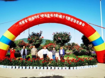 河南省四优四化项目 助推南阳月季、栀子产业发展