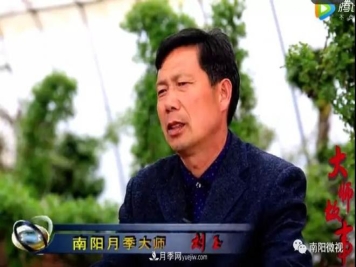 南阳月季大师——刘玉