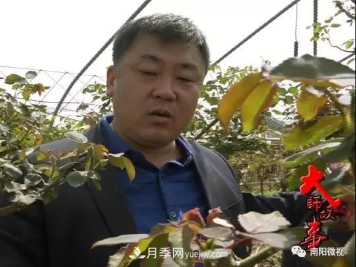 南阳月季大师——王超