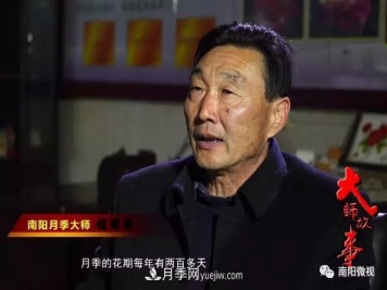 南阳月季大师——赵国强