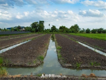 大雪时节已来到，保护苗木必不可少