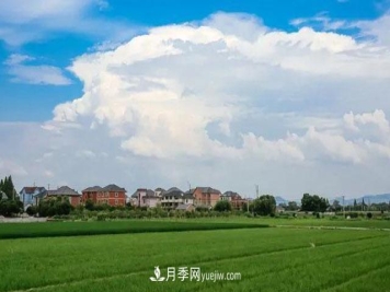 注意，2021年农田5不准：违规罚上万，关系户都没用