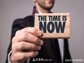 “站在风口上，猪都能飞起来！”园林苗木行业的下一个风口在哪？