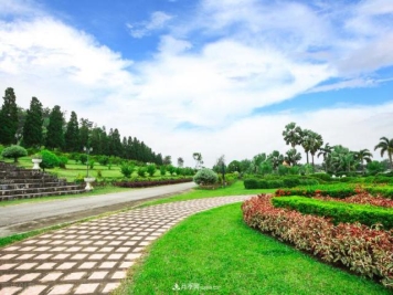 南阳园林绿化工作安排与实施