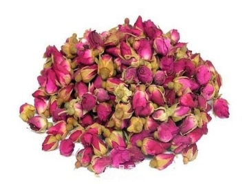 2010版中国药典月季花的质量标准