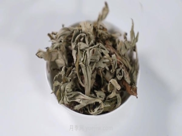 南阳艾草产业蓬勃发展的背后原因是为什么？