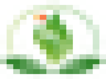 月季网址导航-十大月季网站