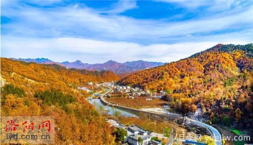 洛阳栾川:美丽产业蹚出富民路(图1) 洛阳栾川:美丽产业蹚出富民路(图1)